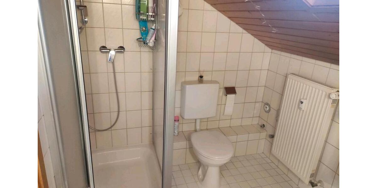 Dachgeschoßwohnung Klettgau - 2 Zimmer, 43 m&sup2;, 520&euro; | Angebot:25409190