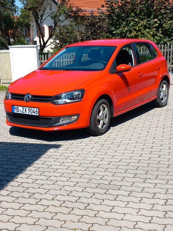 Polo