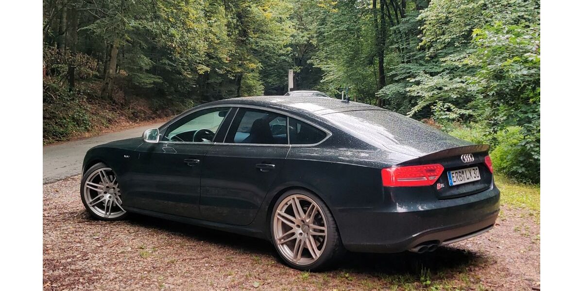 Audi S5 175.000 km 17.999 &euro; Fränkisch-Crumbach 64407
