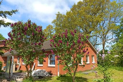 Wohnen in der Natur! 3 Zimmer Wohnung zu vermieten