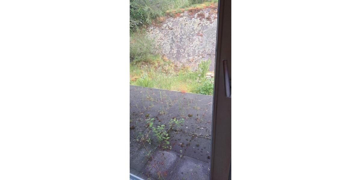 Einfamilienhaus Mehren - 5 Zimmer, 120 m&sup2;, 115.000&euro; | Angebot:26963969
