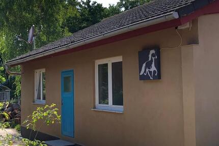 Wohnung Hanhofen - 2 Zimmer, 80 m&sup2;, 800&euro; | Angebot:26683122