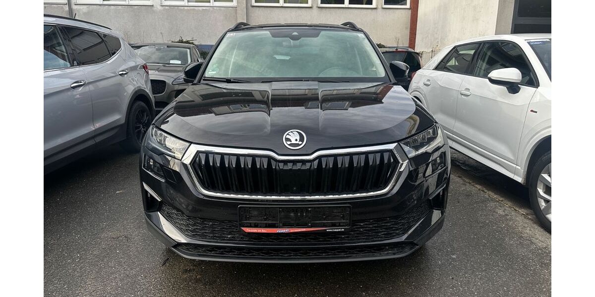 Skoda Karoq 100.000 km 22.300 &euro; Hersbruck 91217