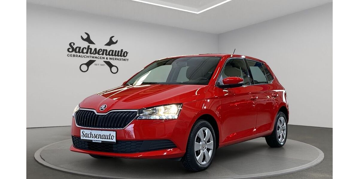 Skoda Fabia 45.217 km 11.500 &euro; Hartenstein 08118