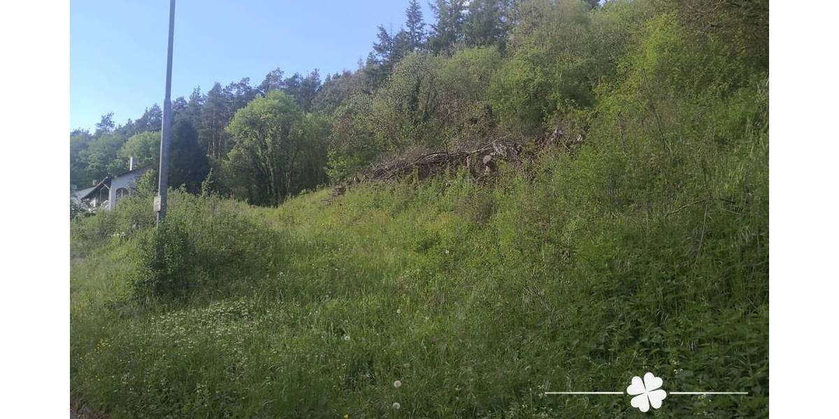 Grundstück Walldürn / Rippberg Rippberg - 105.000&euro; | Angebot:23962539