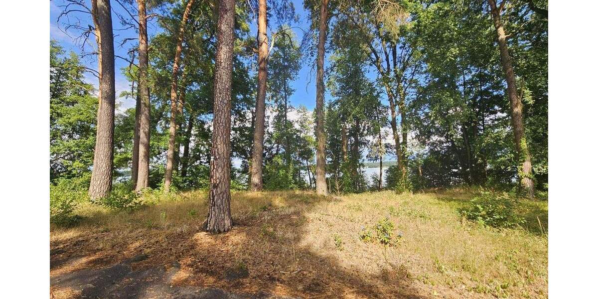 Grundstück Bad Saarow Bad Saarow-Pieskow - 3.880.800&euro; | Angebot:25699038