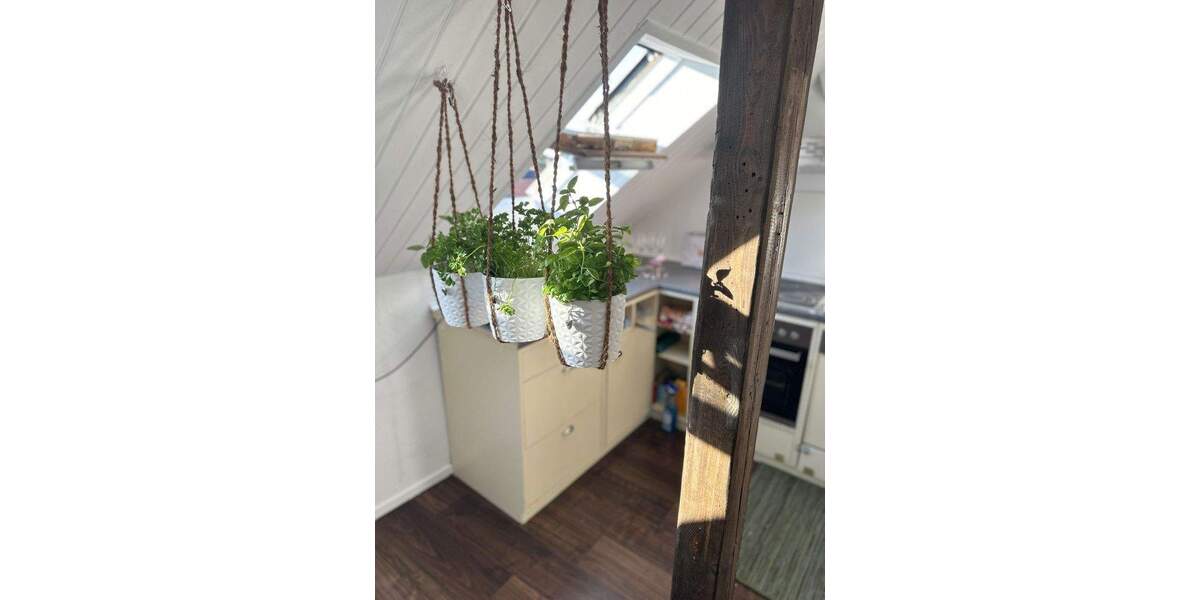 Möblierte Wohnung, gemütliches Altbau-Dachgeschoss Studio 1 zimmer