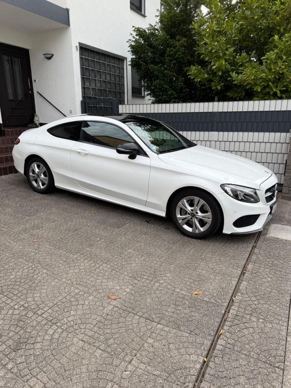 C 250