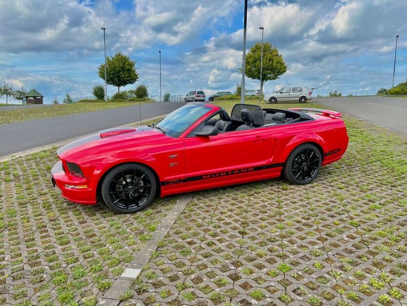 Mustang