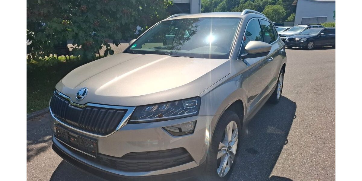 Skoda Karoq 106.168 km 17.290 &euro; Waldshut-Tiengen 79761