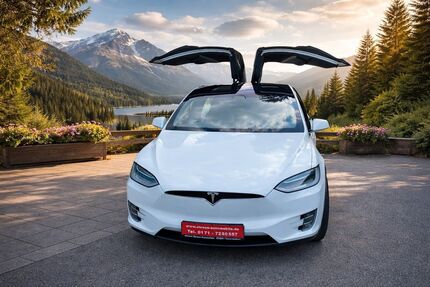 Tesla Model X 215.500 km 29.900 &euro; Vaterstetten 85591