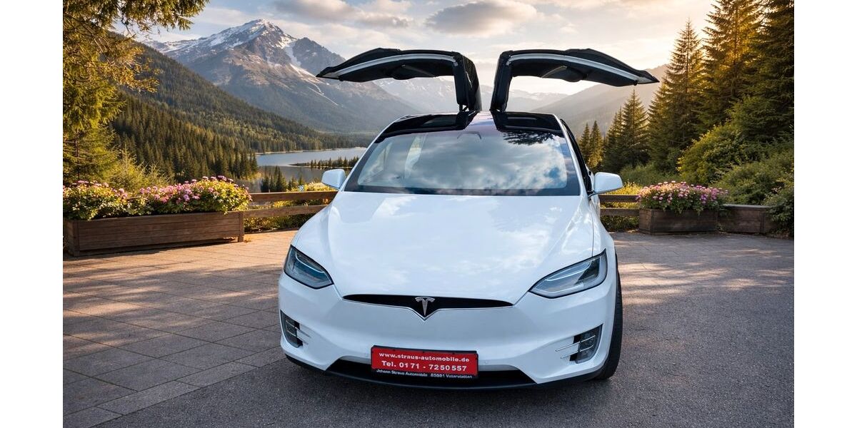 Tesla Model X 215.500 km 29.900 &euro; Vaterstetten 85591