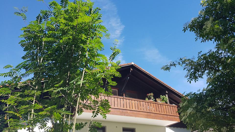 Dachgeschoßwohnung Bad Feilnbach - 2.5 Zimmer, 378.399&euro; | Angebot:22184200