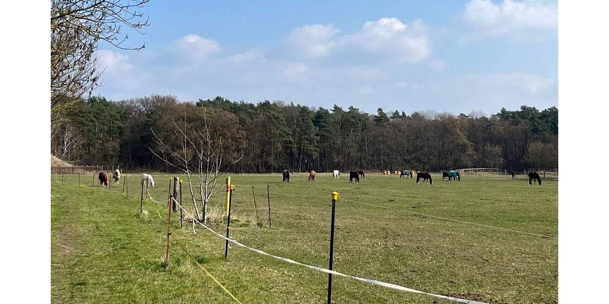 Reihenmittelhaus Falkensee - 4 Zimmer, 96 m&sup2;, 380.000&euro; | Angebot:25999592