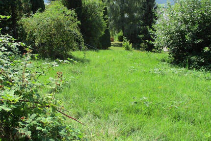 Grundstück Burladingen - 99.000&euro; | Angebot:23981834