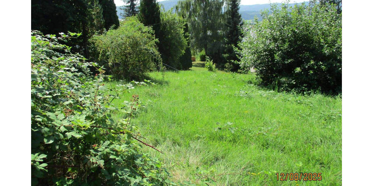 Grundstück Burladingen - 99.000&euro; | Angebot:23981834