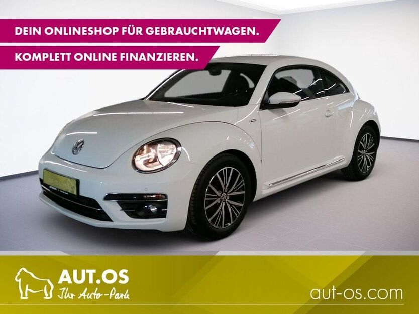 Beetle