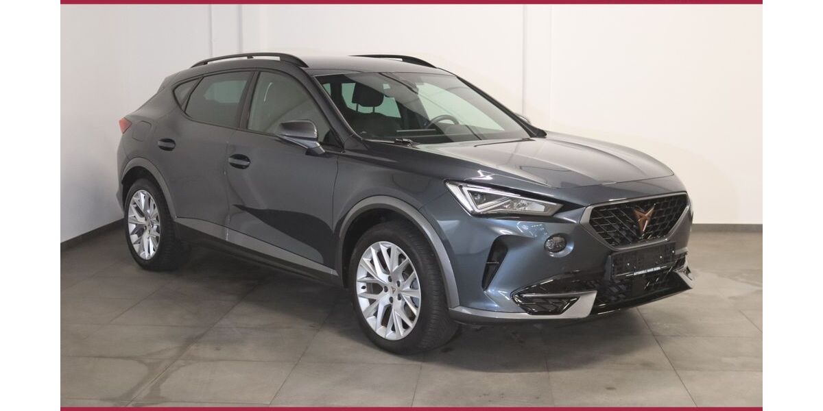 Cupra Formentor 49.900 km 21.800 &euro; Bebra 36179