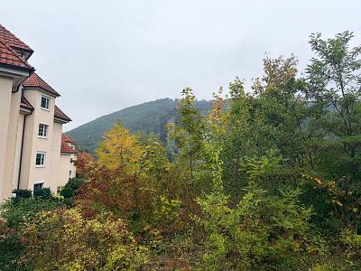 FERTIGES PROJEKT SUCHT UMSETZUNG! - Grundstück Badenweiler | Angebot:25361280