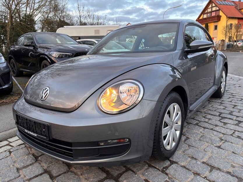 Beetle