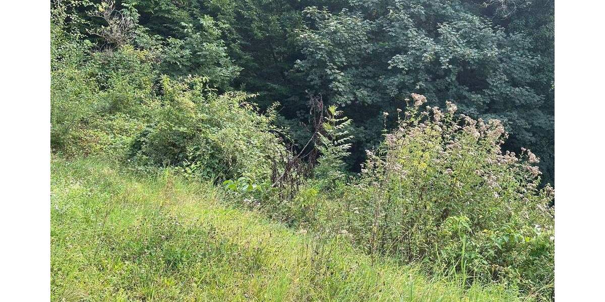 Traumgrundstück mit kleinem Wohn- und Wochenendhaus zimmer