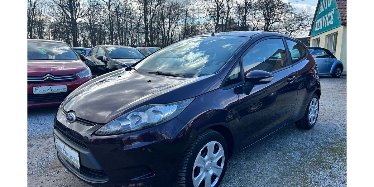 Ford Fiesta 116.000 km 4.490 &euro; Großdubrau/Zschillichau 02694