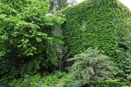 Grundstück Lauf - 150.000&euro; | Angebot:26350586