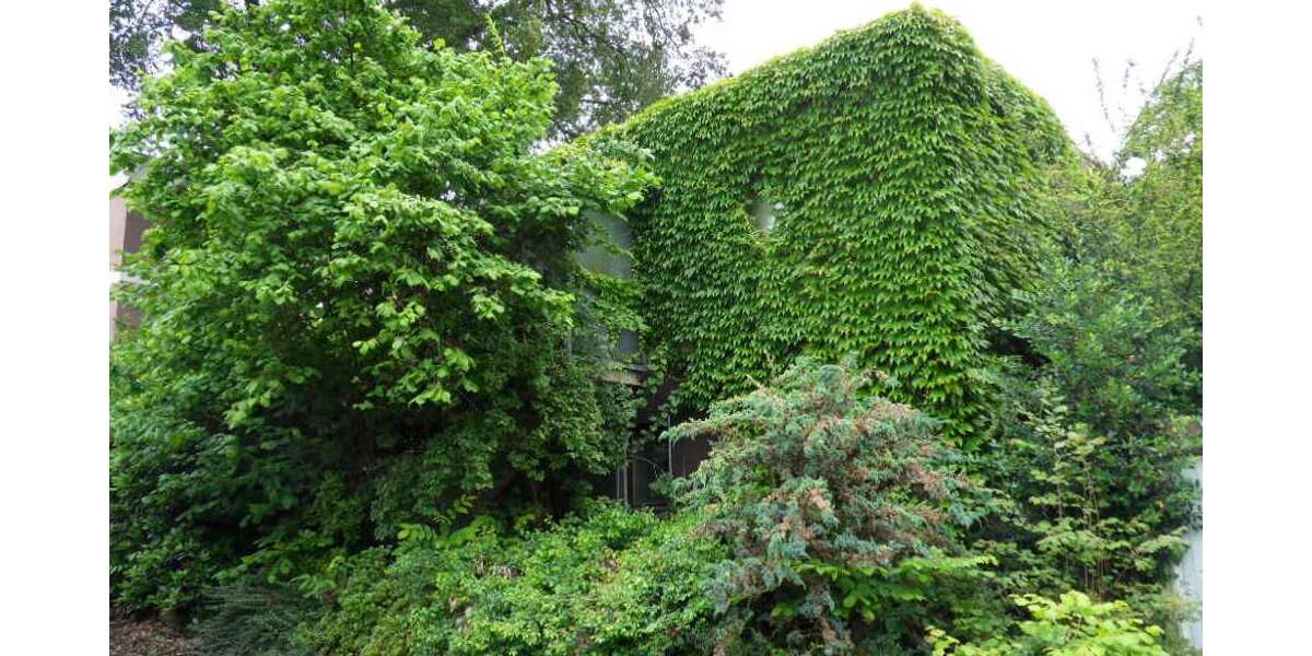 Grundstück Lauf - 150.000&euro; | Angebot:26350586