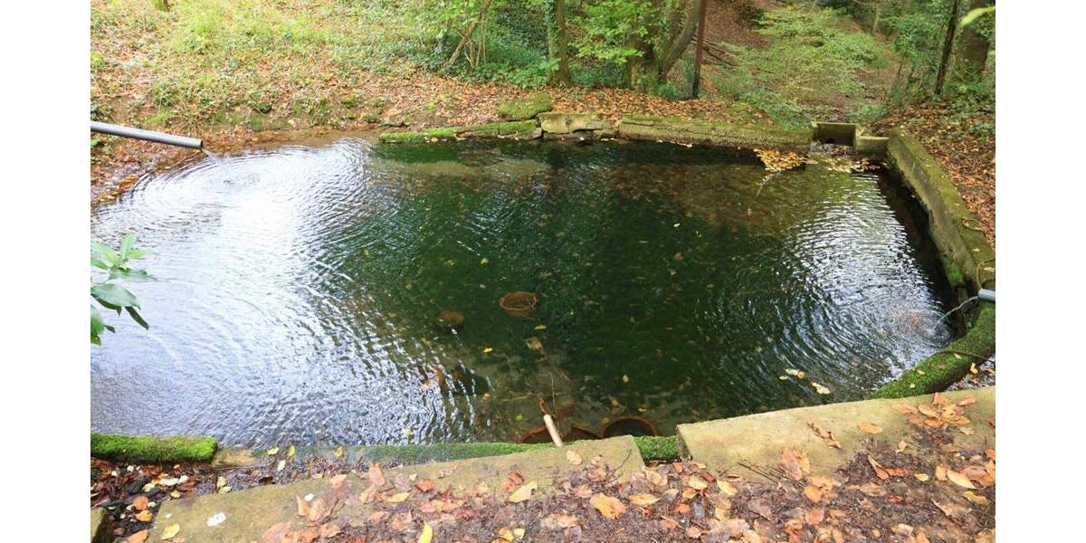 Baugrundstück in grüner Umgebung zimmer