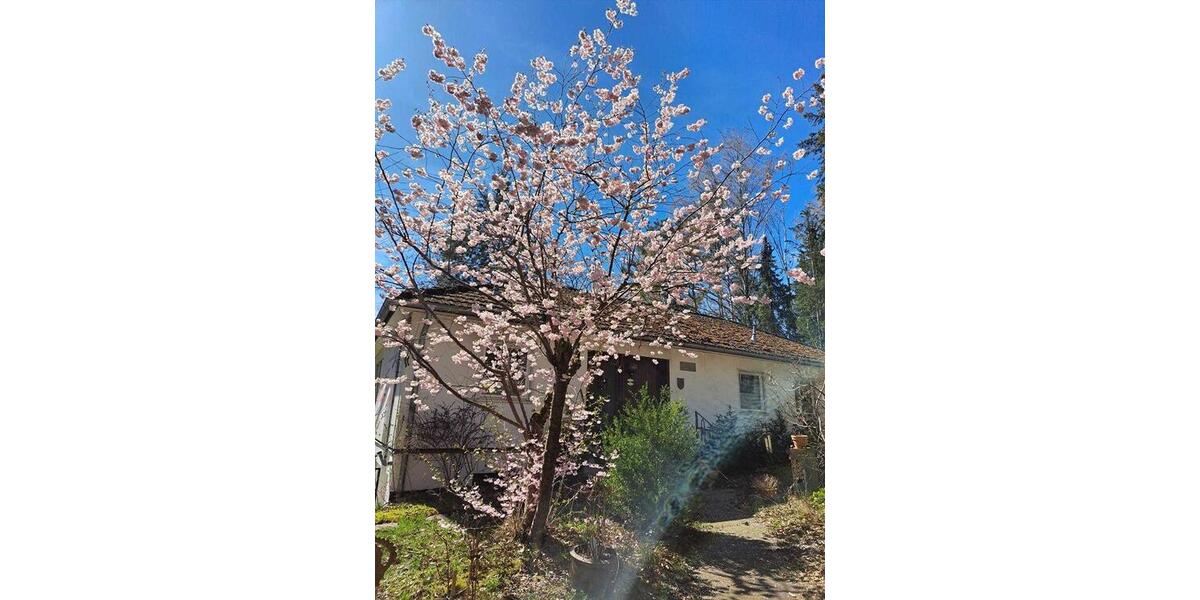 Bungalow Suderburg - 5 Zimmer, 130 m&sup2;, 238.000&euro; | Angebot:26144097