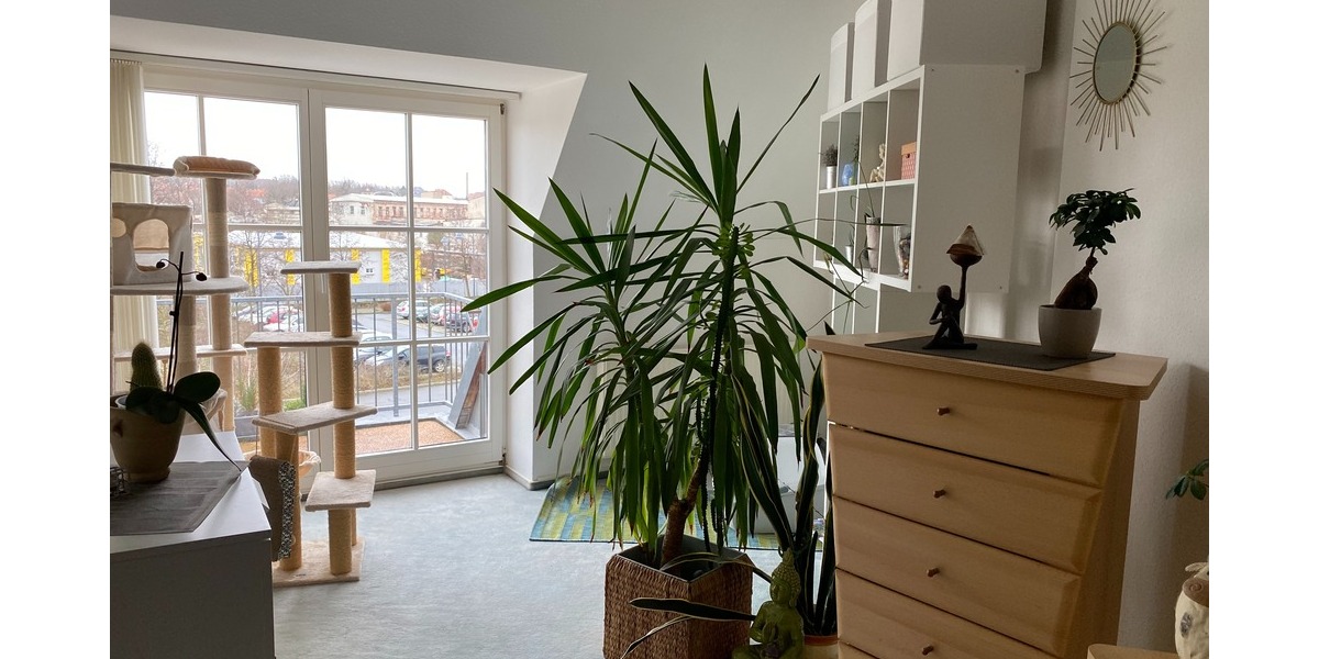 Mehrfamilienhaus mit 4 Wohnungen + 2 Gewerbeeinheiten - Einfamilienhaus Großenhain | Angebot:26287472