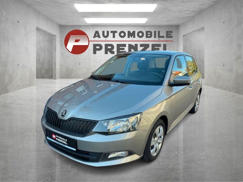 Skoda Fabia 316.525 km 4.190 € Hagenow 19230