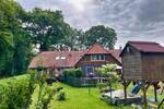 Mehrfamilienhaus, Wohnhaus Munster Oerrel - 1 Zimmer, 315.000&euro; | Angebot:26672609