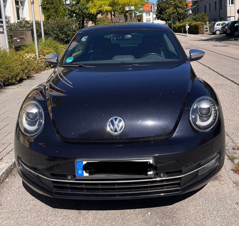 Beetle