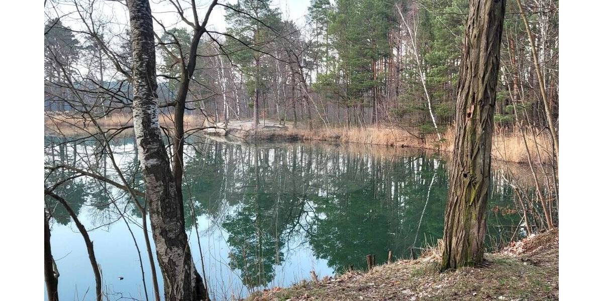 Grundstück Bad Schmiedeberg Reinharz - 17.000&euro; | Angebot:26684565