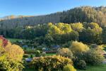 Etagenwohnung Hohnstein - 4 Zimmer, 75 m&sup2;, 75.000&euro; | Angebot:27238367