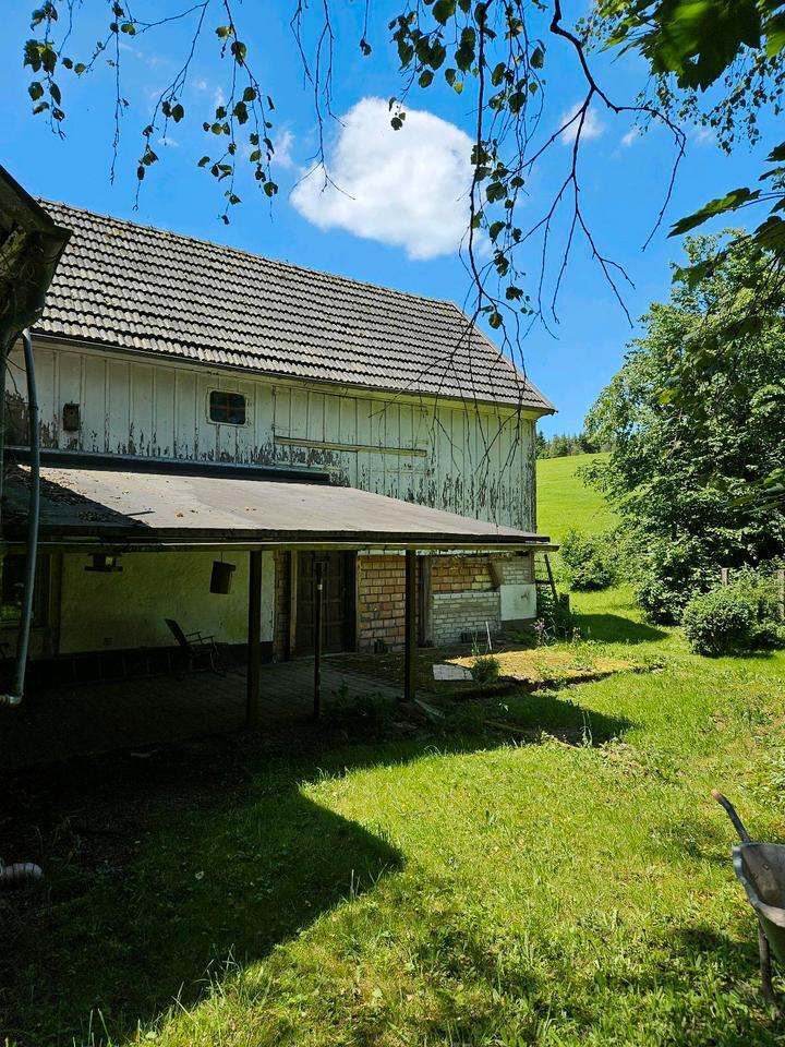 Einfamilienhaus freistehend zimmer