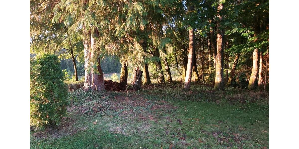 Einfamilienhaus Großerlach - 3 Zimmer, 46 m&sup2;, 128.000&euro; | Angebot:26637792