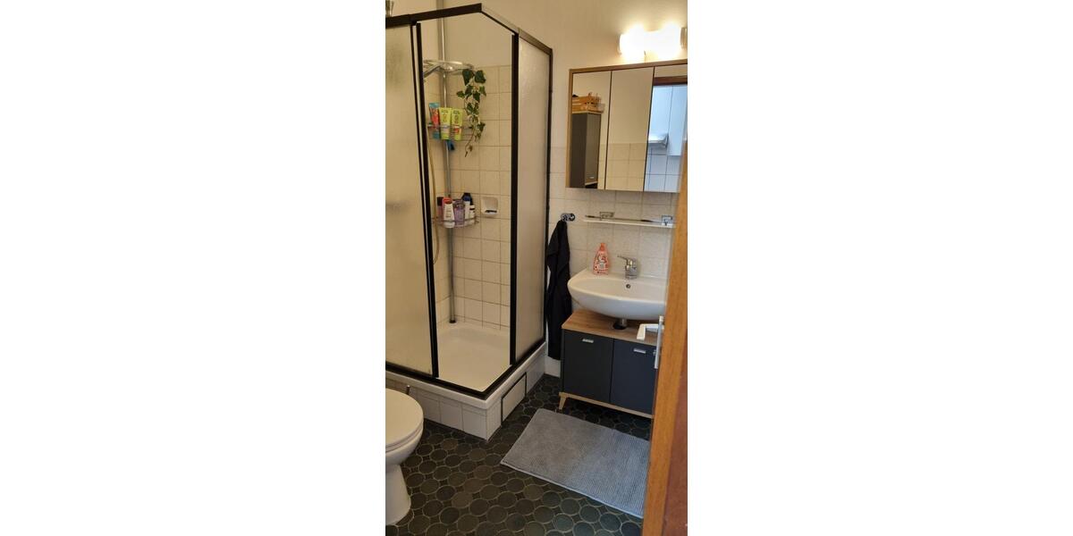 Etagenwohnung Vaihingen an der Enz - 1 Zimmer, 30 m&sup2;, 550&euro; | Angebot:25419428