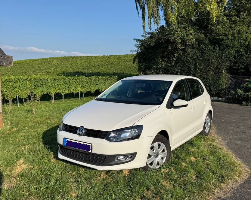 Polo