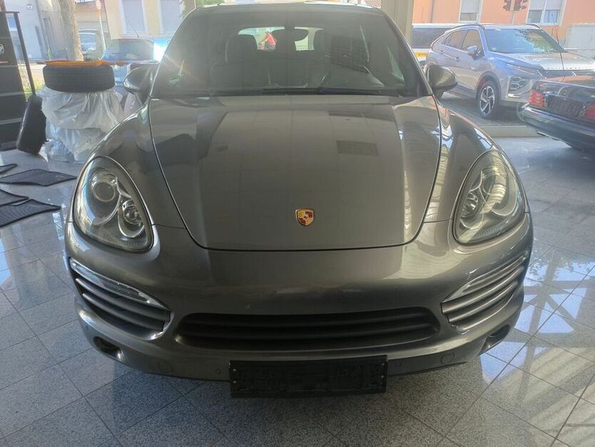Cayenne