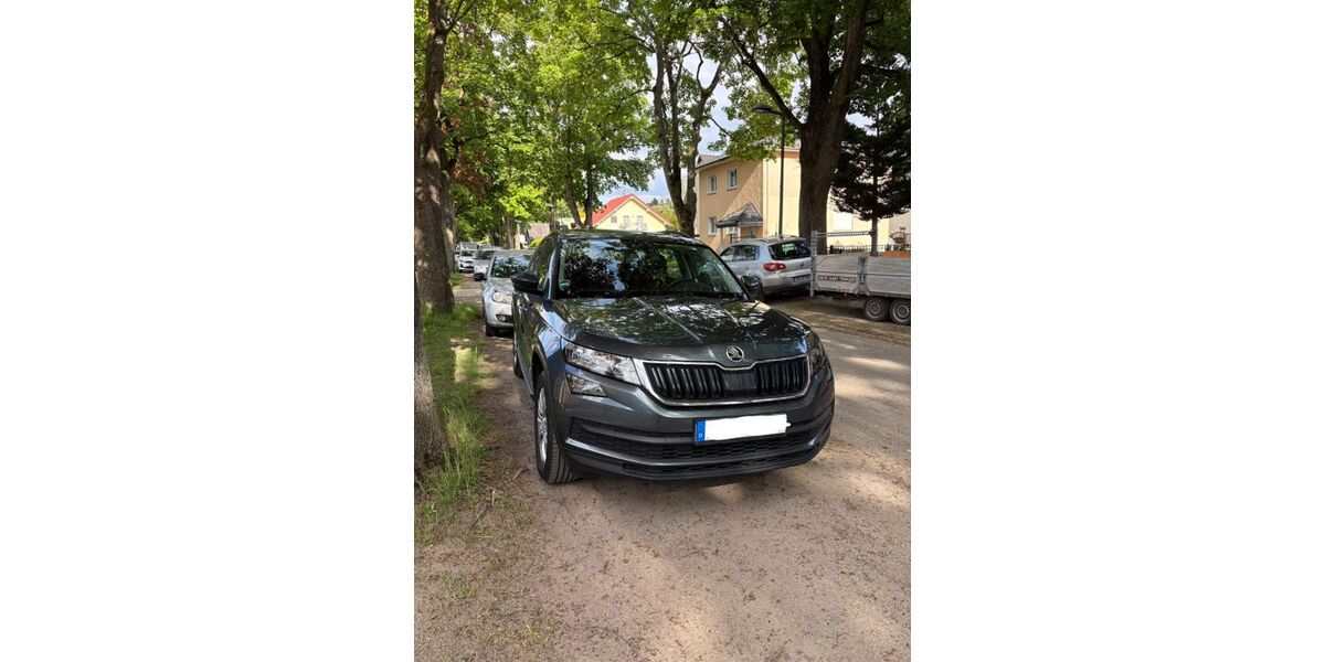 Skoda Kodiaq 91.000 km 19.000 &euro; Bernau 16321