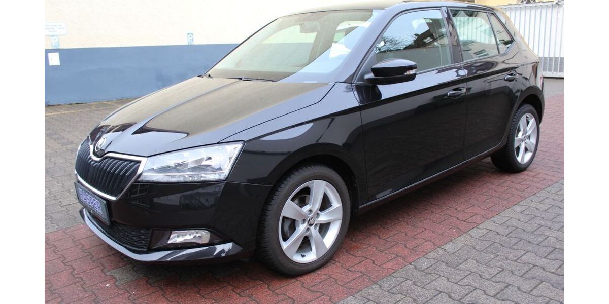 Skoda Fabia 72.000 km 9.490 &euro; Hagen 58135