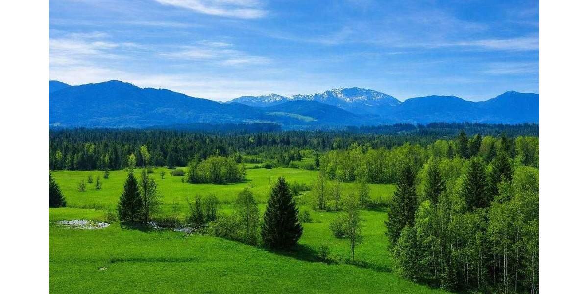 Naturnah leben und wohnen in Obermaxkron 6 zimmer