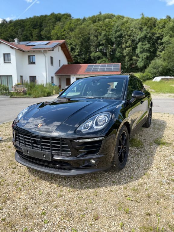 Macan