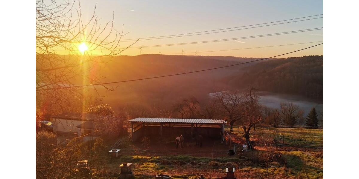 Bauernhaus, Landhaus Hermersberg - 5 Zimmer, 206 m&sup2;, 310.000&euro; | Angebot:26990101