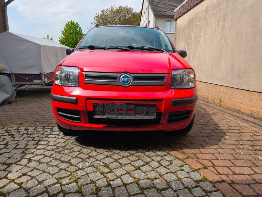 Panda