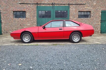 Lotus Excel