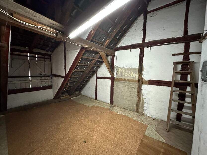 EINFACH WOHNEN OHNE GARTENARBEIT! KEINE KÄUFERPROVISION! 3 zimmer