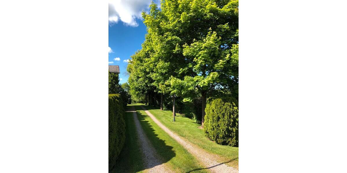 Einfamilienhaus Klein Offenseth-Sparrieshoop Sparrieshoop - 5 Zimmer, 280 m&sup2;, 459.000&euro; | Angebot:25812810